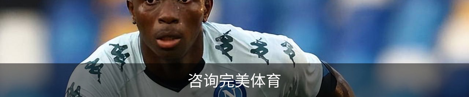 咨询完美体育